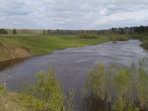 р. Бакса , весна 2014 г..