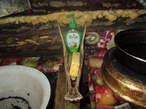 Мыльница таежная.