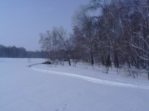 подкармлюем помаленьку