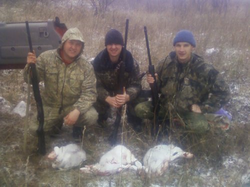 открытие на зайца 2012 год