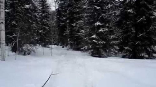 Охотничья избушка
