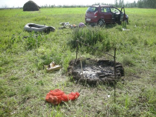 поляна 2 вид осенью
