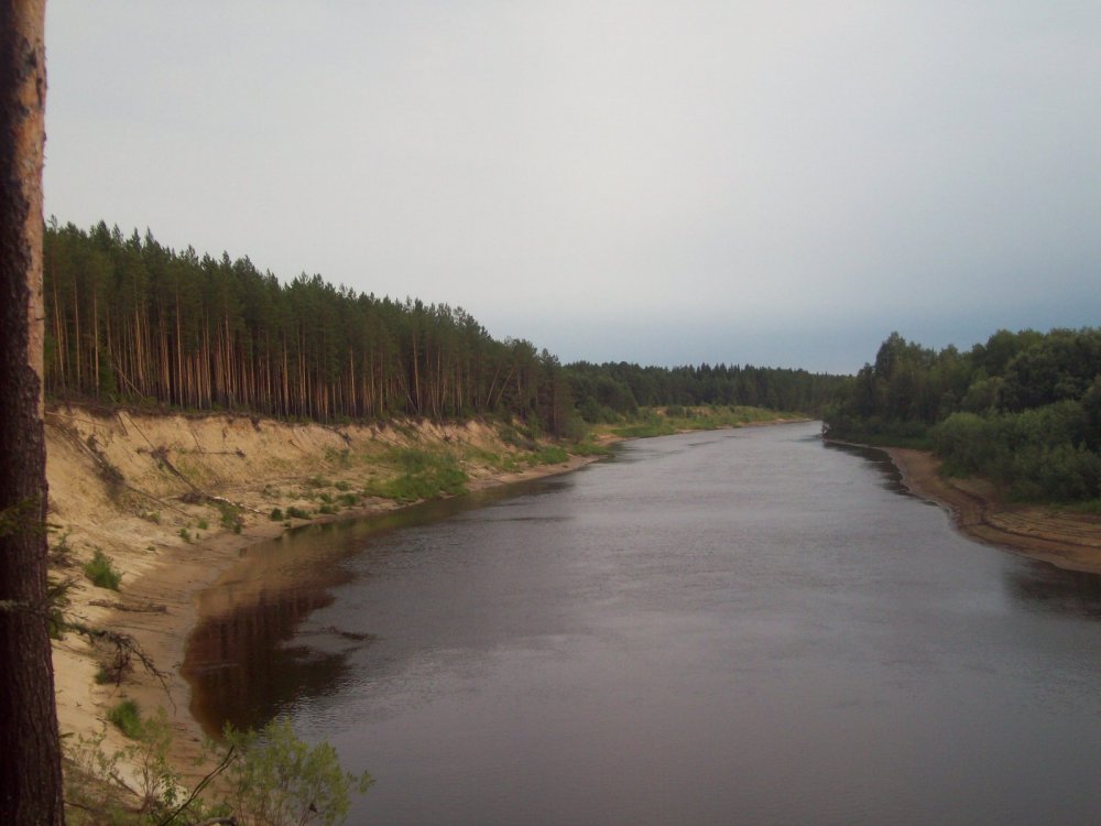 берег реки