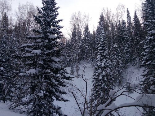 последний снегопад