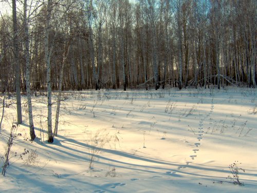 "Опус"... или как его там...!?