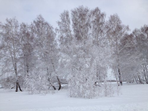 25.03.2015