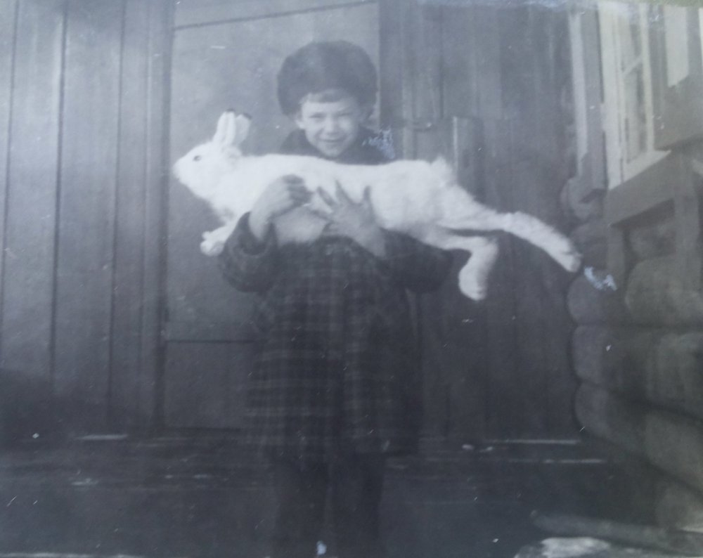 80-е года.Отец привез с охоты зайца.