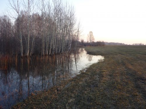У лесного разлива с утра....