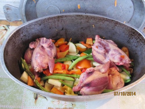 Дрозд-рябинник с овощами.