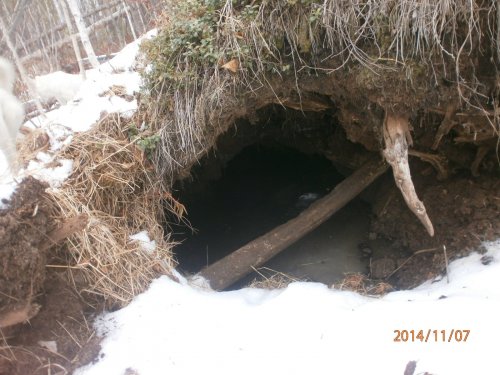 Берлога 1