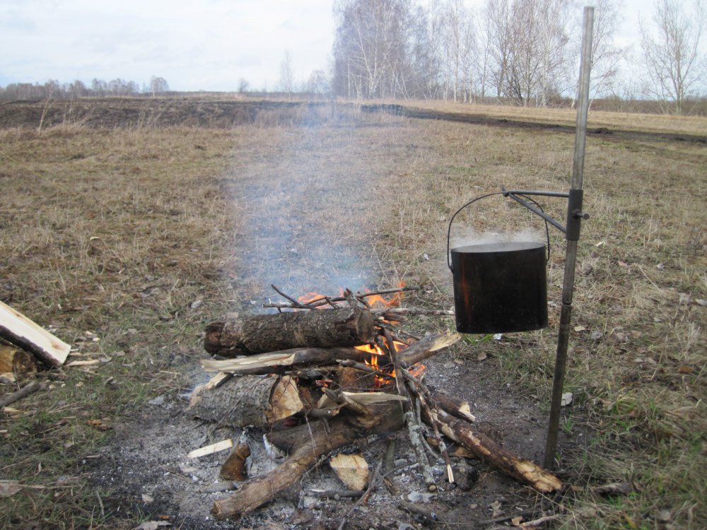 весна