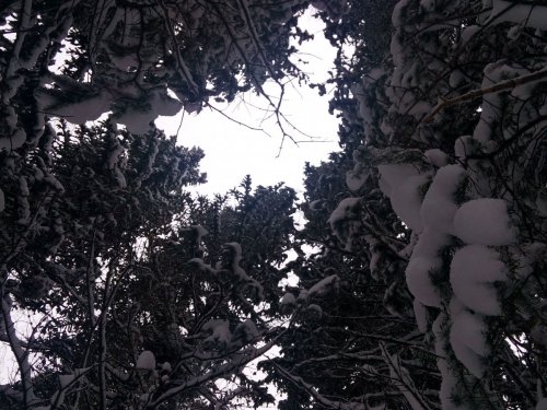 снегопад