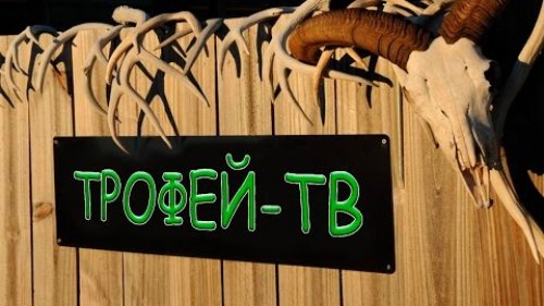 Промо ТРОФЕЙ-ТВ
