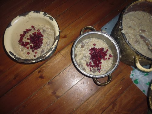 Кушать друзьям.