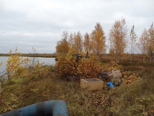 Скрадок на озере
