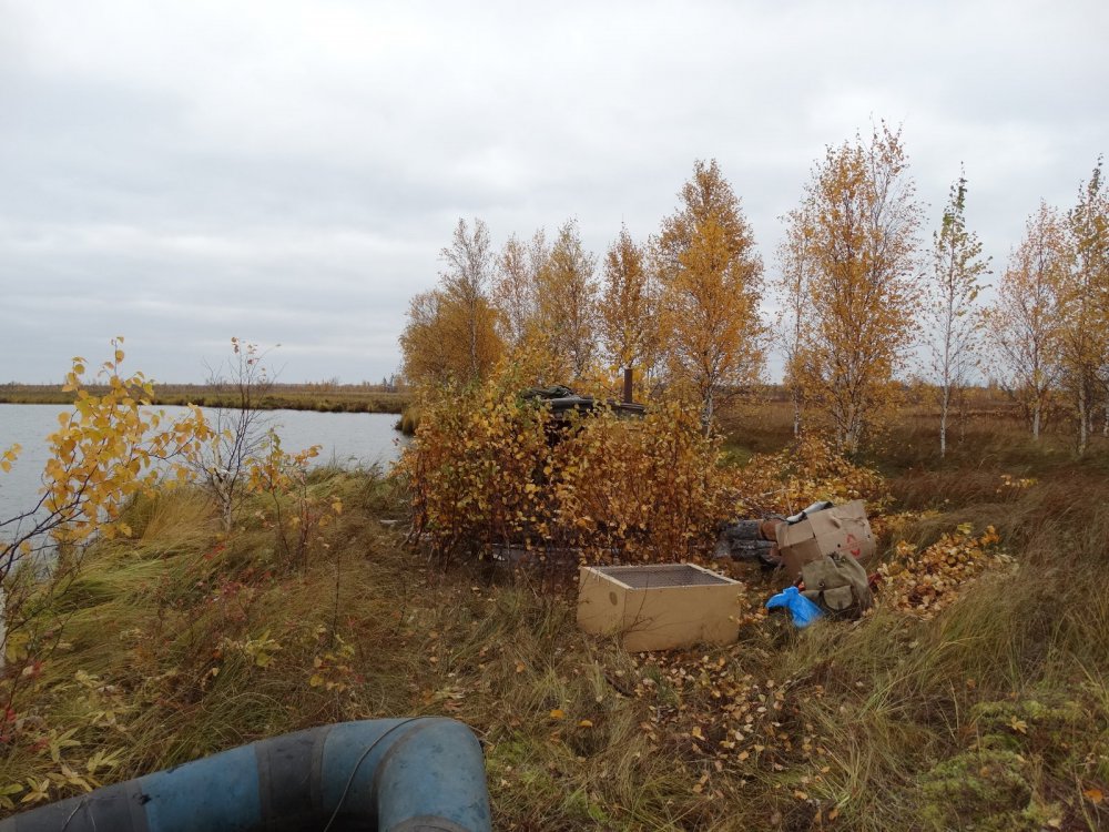 Скрадок на озере