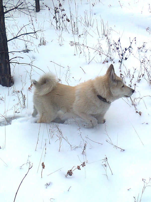 Прогулка в лес.