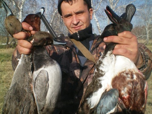 весна 2014