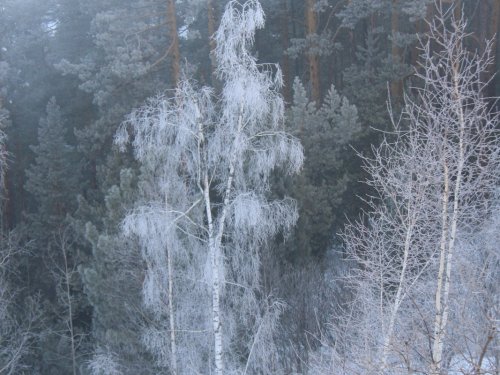 Весна в Сибири