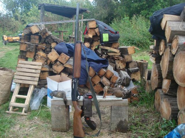 Как это было давно 2010г Тайга