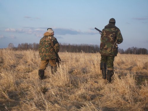 кого то увидали)