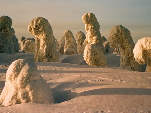 Где то была белка