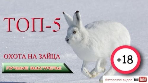 ТОП 5. Охота на зайца. Лучшие выстрелы.