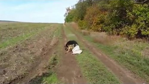 Охотники спасли.