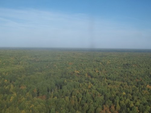 тайга с вертолета