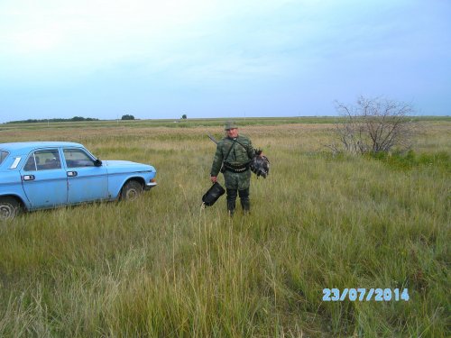 уточки