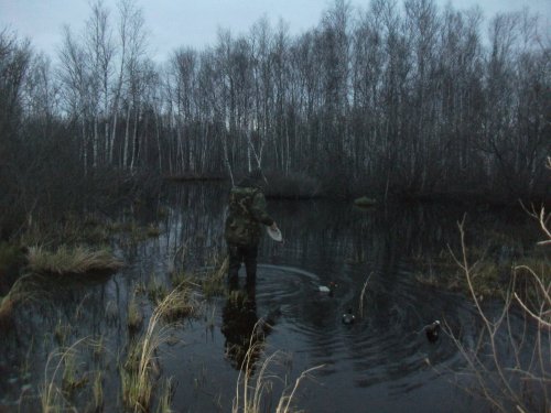выставляем