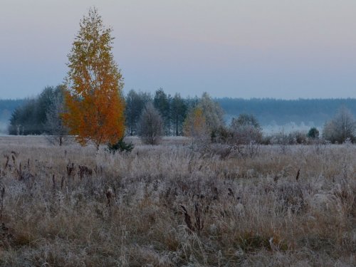 Золушка на балу осени