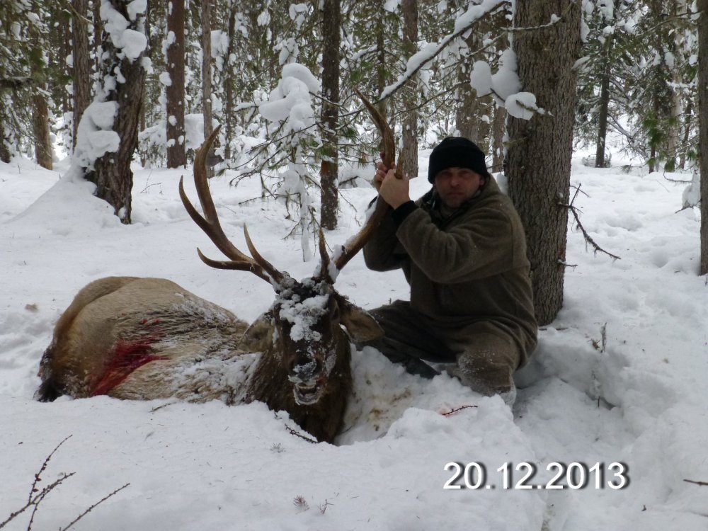 Трофей 2013