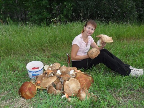 супруга
