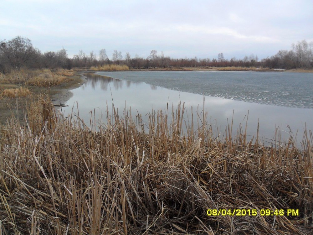 вода освободилась от льда