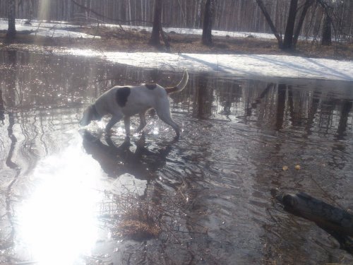 вот и водичка