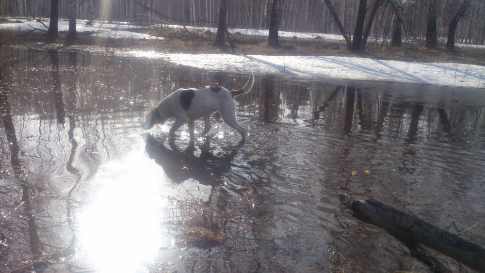 вот и водичка