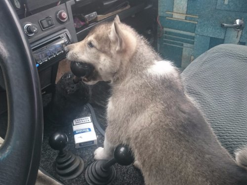 помогает скоростя переключать))
