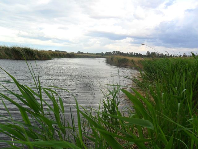 красота