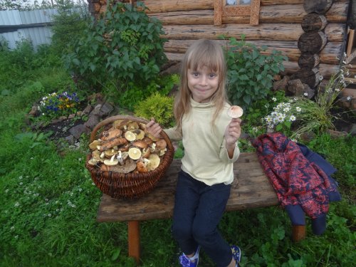 Деликатез