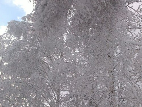 Снежок