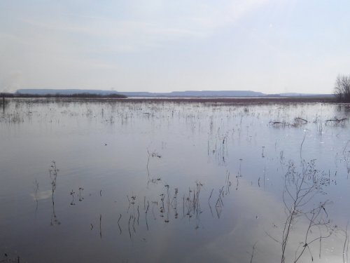 Пришла водичка.