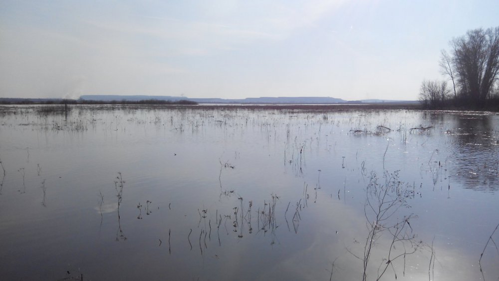 Пришла водичка.