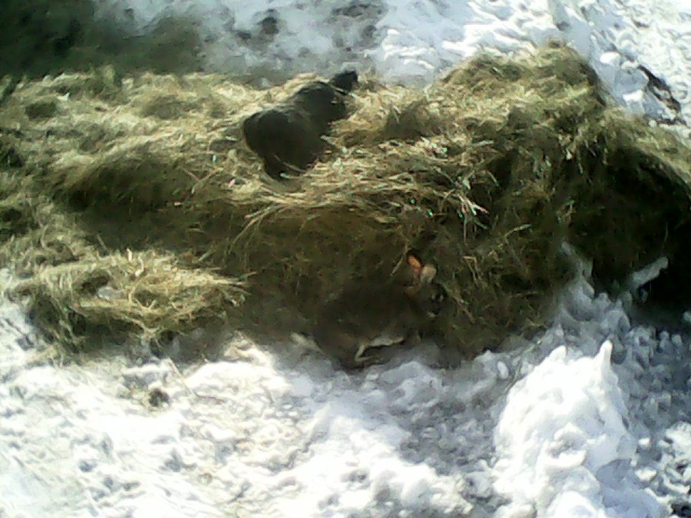 прятки