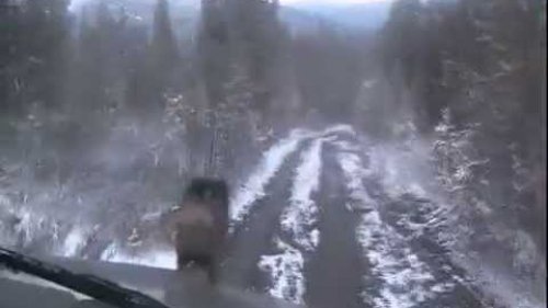 Едем на Охоту