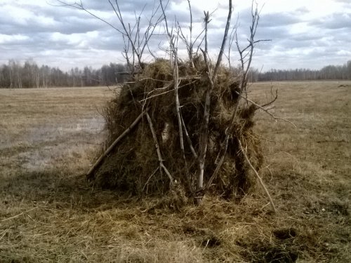 И разочарование, и радость.