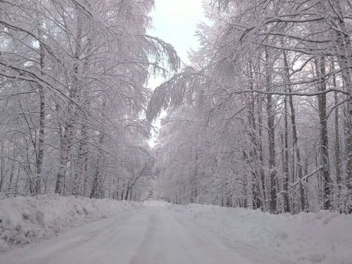 Снежок 2