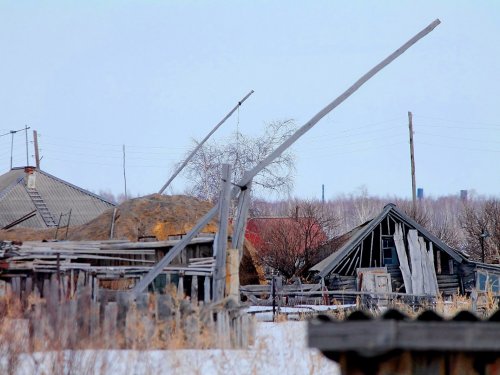 Журавли