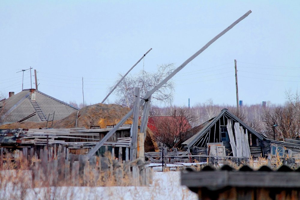 Журавли