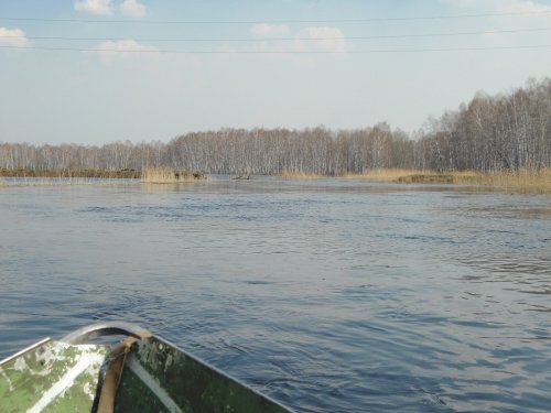 Разлив весны 2014...